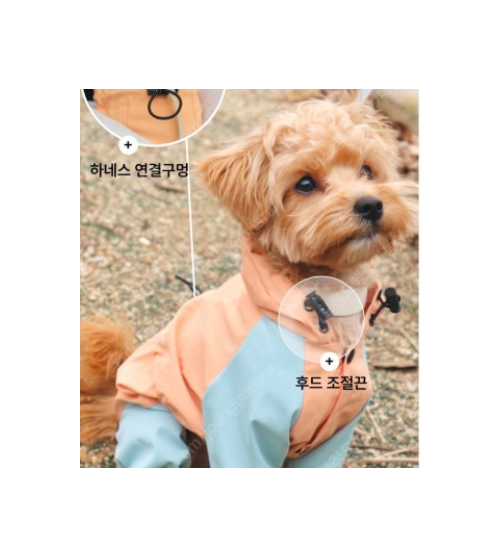 (새상품) 냥인댕 강아지 올인원 우비 XL사이즈 바람막이 가능