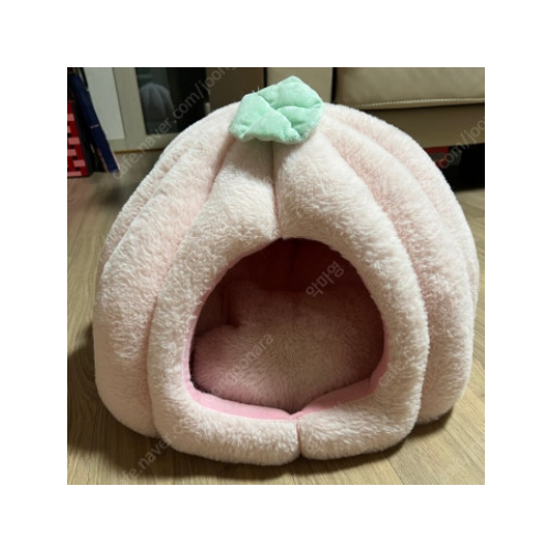 고양이 숨숨집 및 숨숨터널