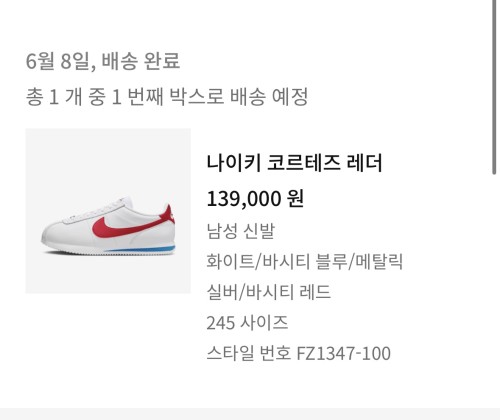 나이키